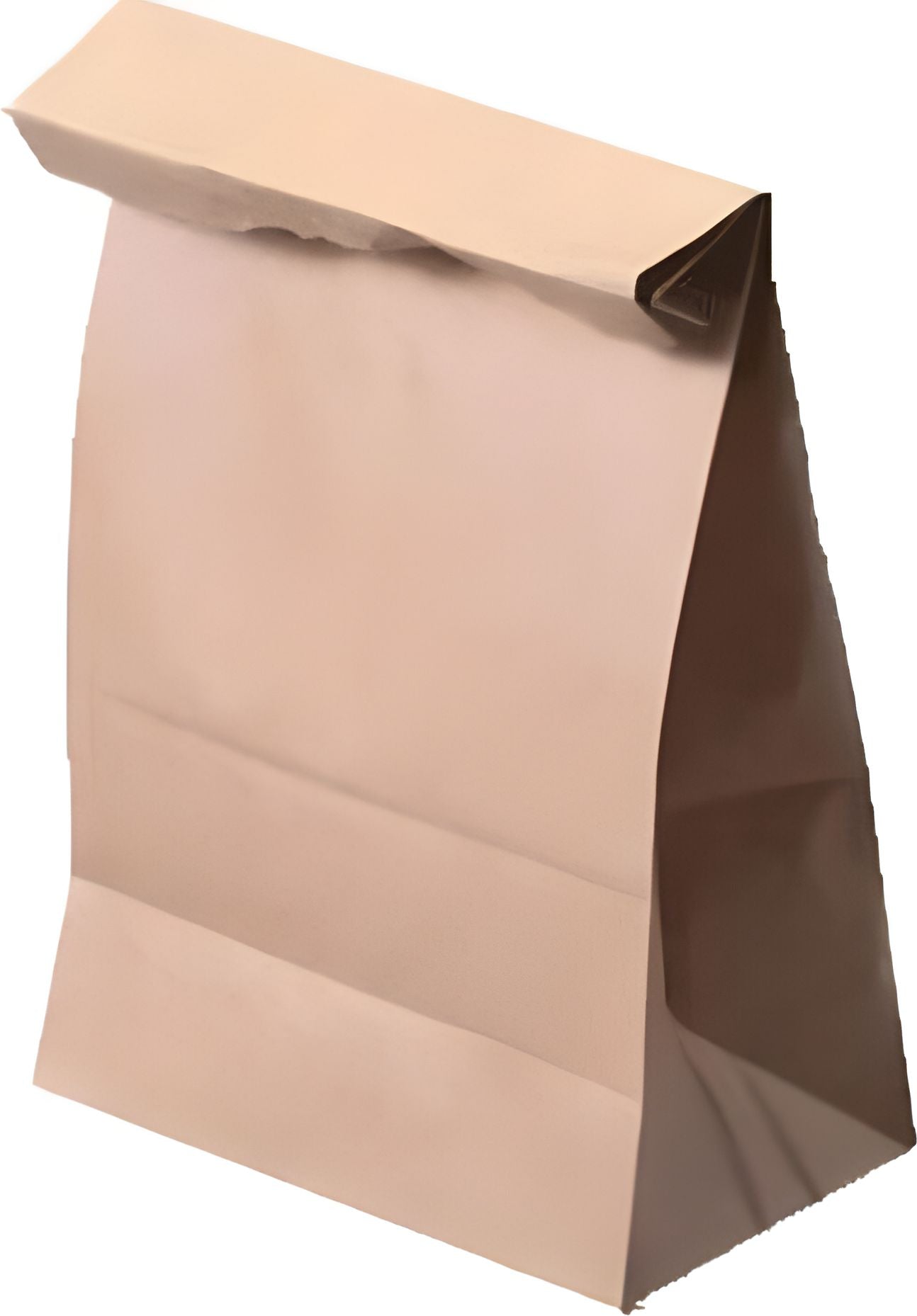 Atlas Paper Bag - 9.75" x 6" x 16.5", 1/8 Barrel Brown Paper Bags, 500/Bn - 4600001