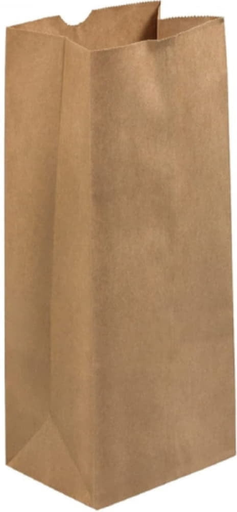 Rosenbloom - 2.875" x 1.875" x 5" Brown Paper Bag, 500 Per Bundle - 10000500C00