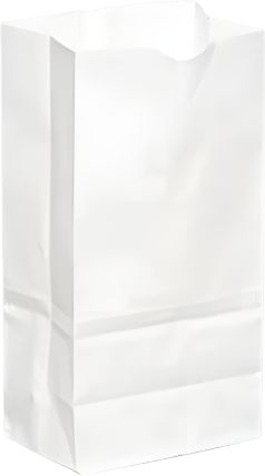 Rosenbloom - 4.75" x 2.75" x 9" White Paper Bag, 500 Per Bundle - 1000300W00