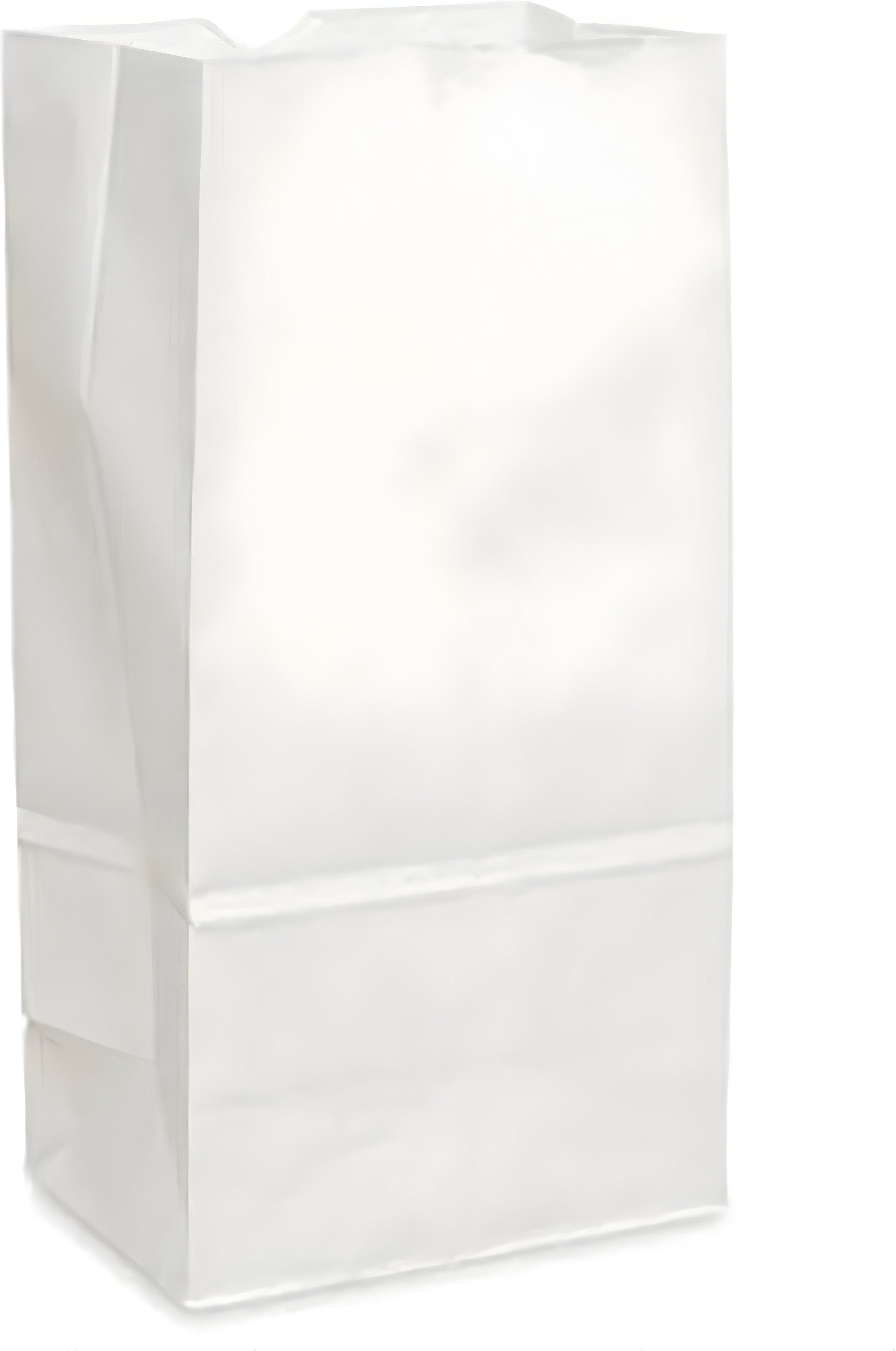 Atlas Paper Bag - 6 lb White Paper Bags, 500/Bn - 4060026