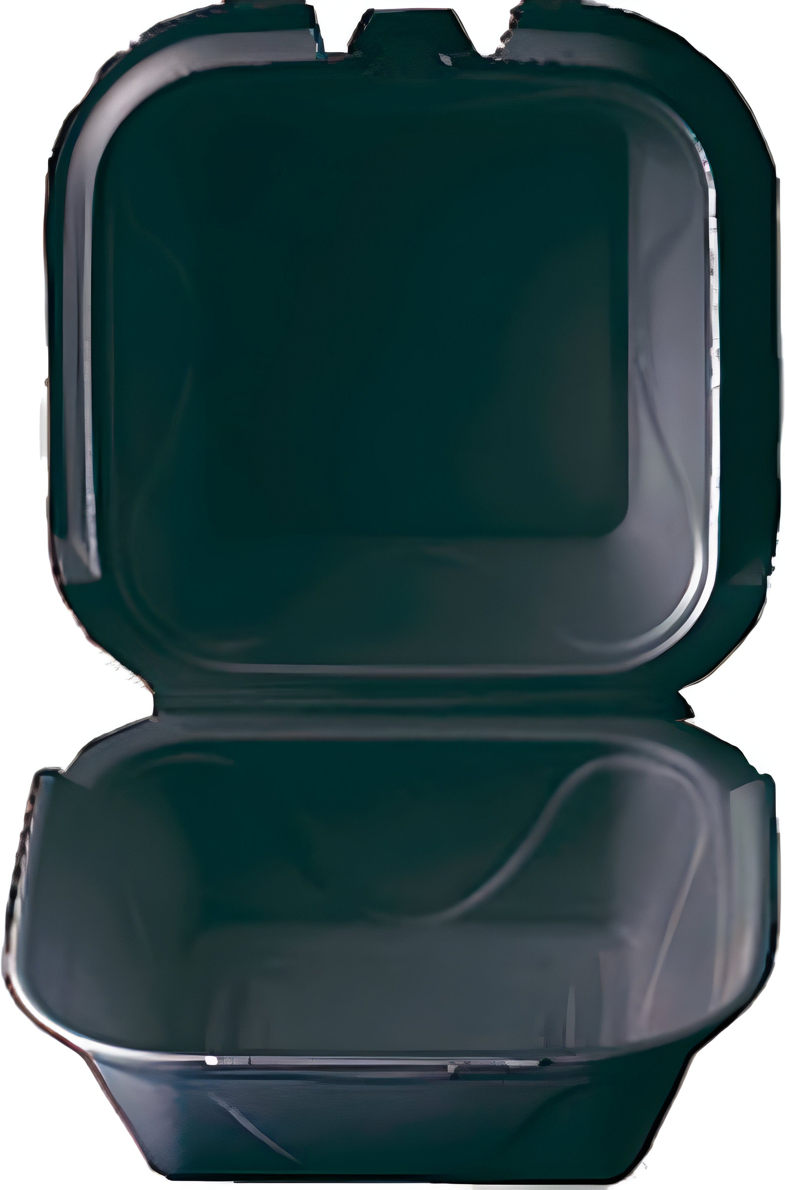 Darnel - 5.125" x 5.25" x 2.75" Black Small Foam Sandwich Hinged Container, 500/Cs - DU402199