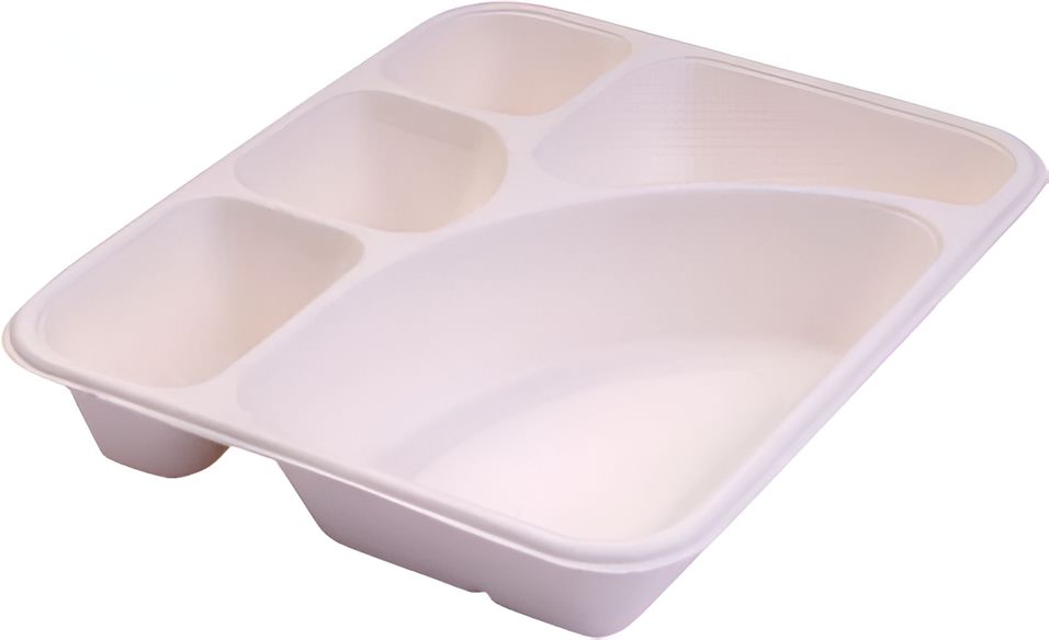 Darnel - 5 Compartment Biodegradable Lunch Tray, 400/cs - DN2014501