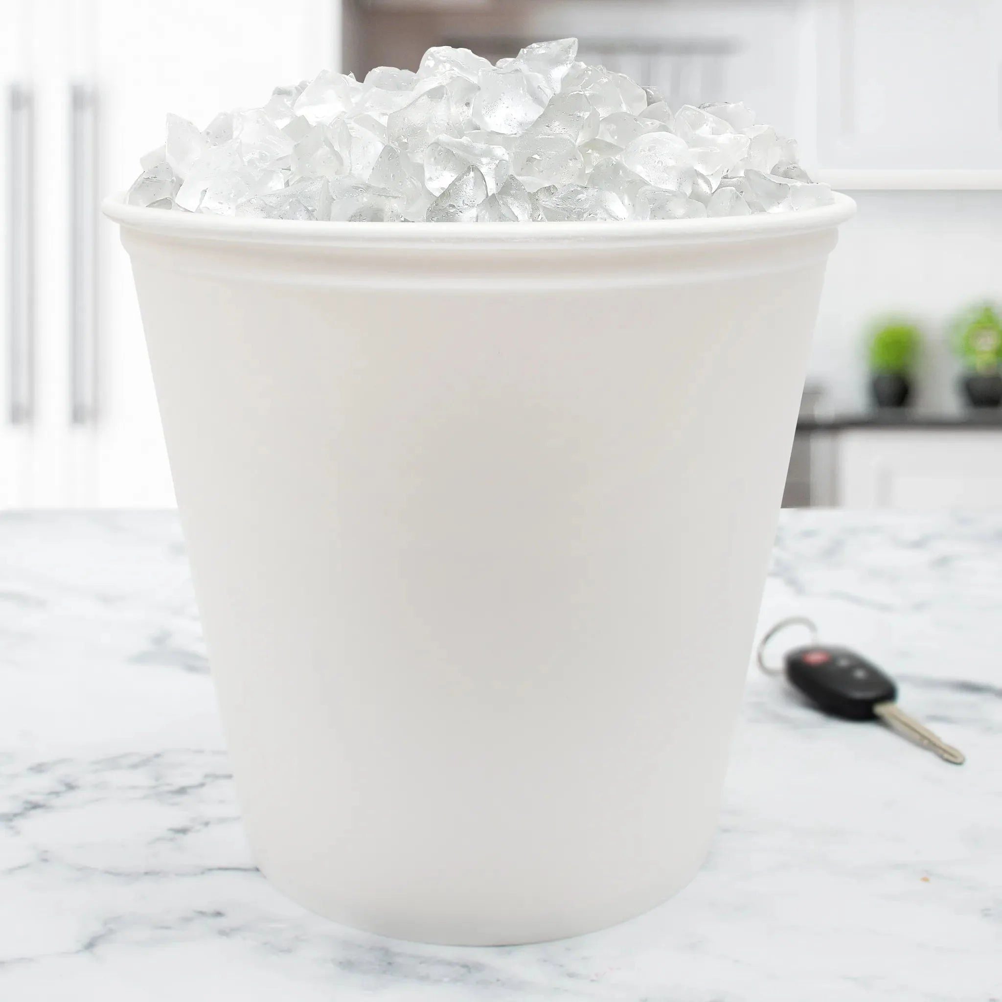Dart Container - 165 Oz White Non-Coated Paper Tub/Bucket - 10T1-N0198