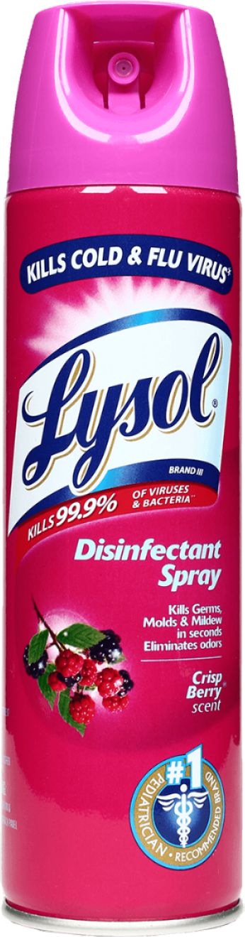 Lysol - 350 gm Crisp Berry Disinfectant Spray, 12Btl/Cs - RBG79330