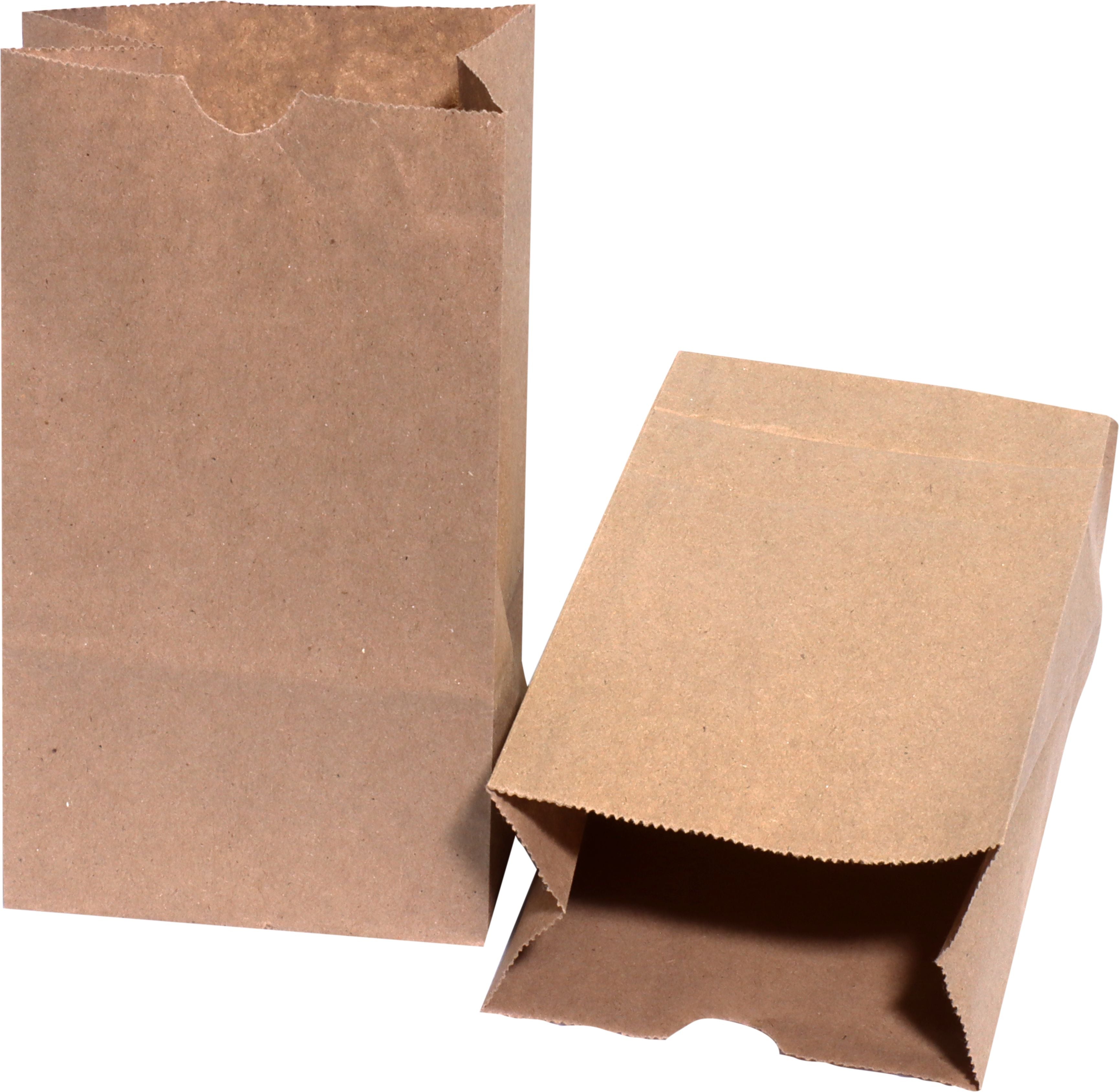 RiteEarth - 3 Lb Kraft Paper Bag, 500/cs - PB030K