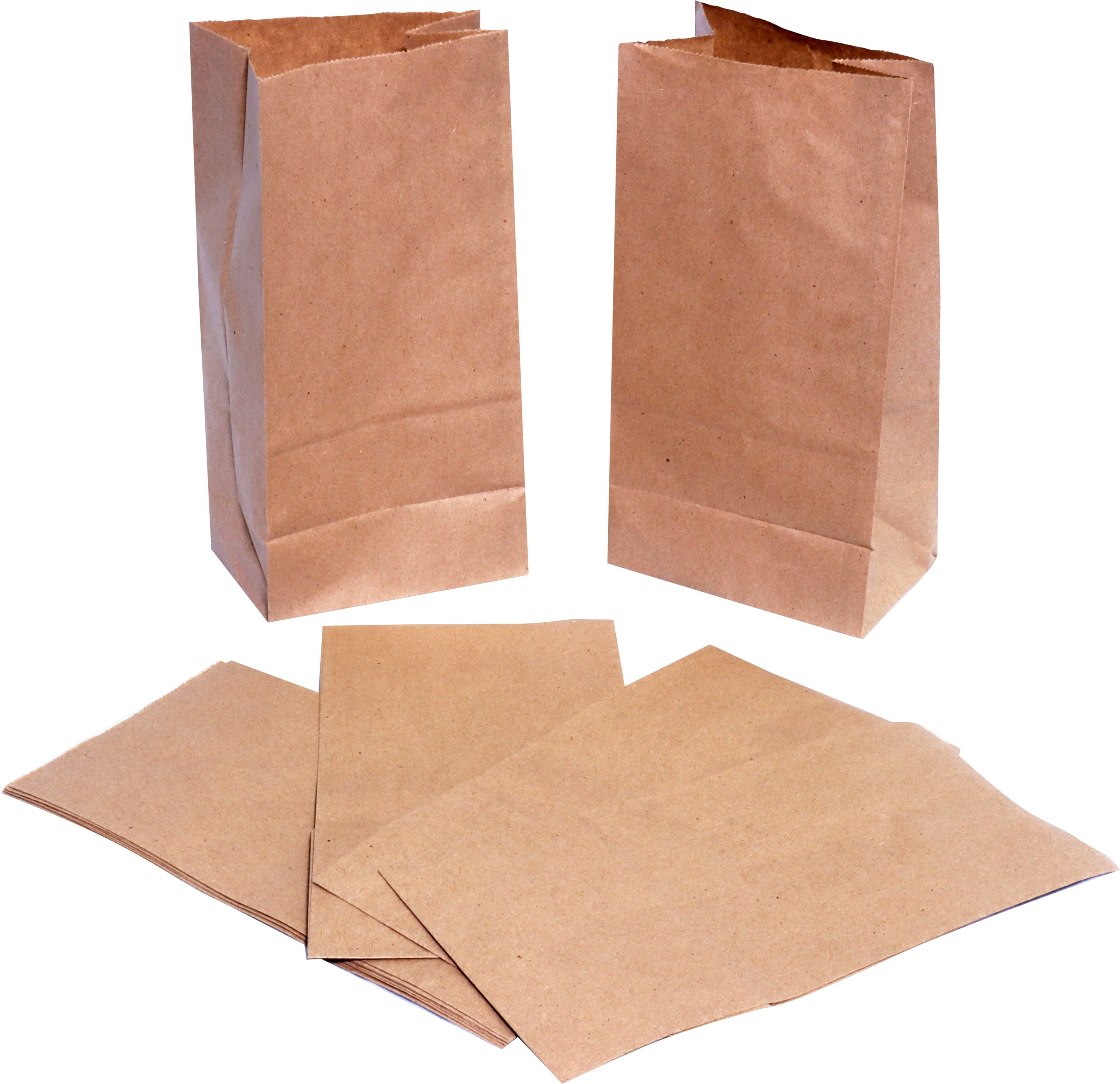 RiteEarth - 4 lb Kraft Paper Bag, 500/cs - PB040K