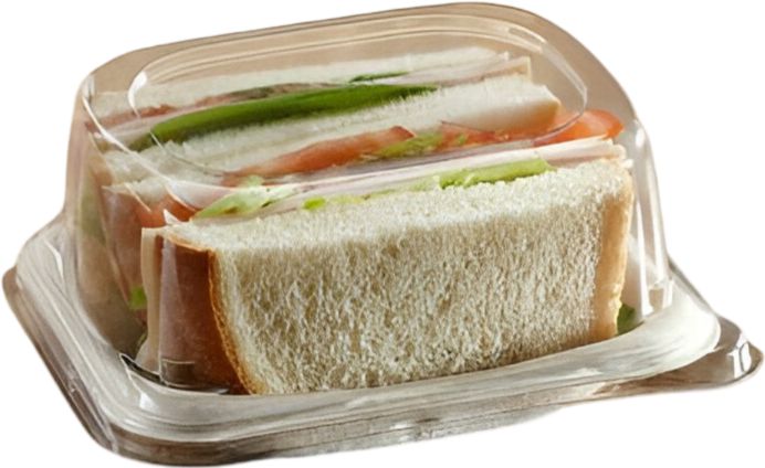 Sabert - Pulp Large Sandwich Container, 300/Cs - 404555D