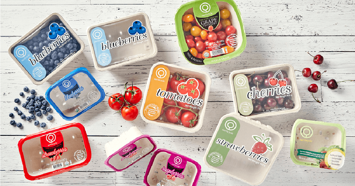 Environmentally Friendly and Compostable Tomato Packaging