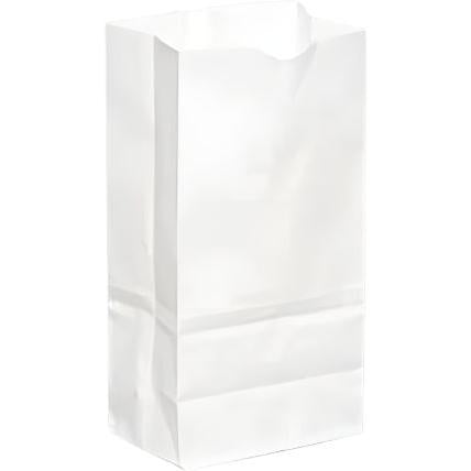 Rosenbloom - 6.5" x 4" x 12.75" White Paper Bag, 500 Per Bundle - 1001000W00