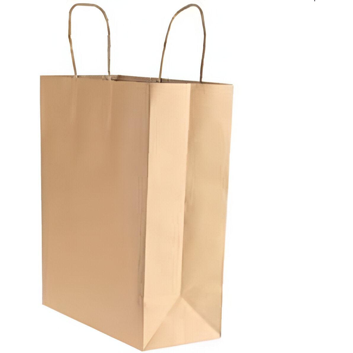 Kari Out -  12.99" x 6.89" x 16.81" Large Kraft Rope Handle Paper Shopping Bags,250/Bn  - 1200130 (Special Order Item)