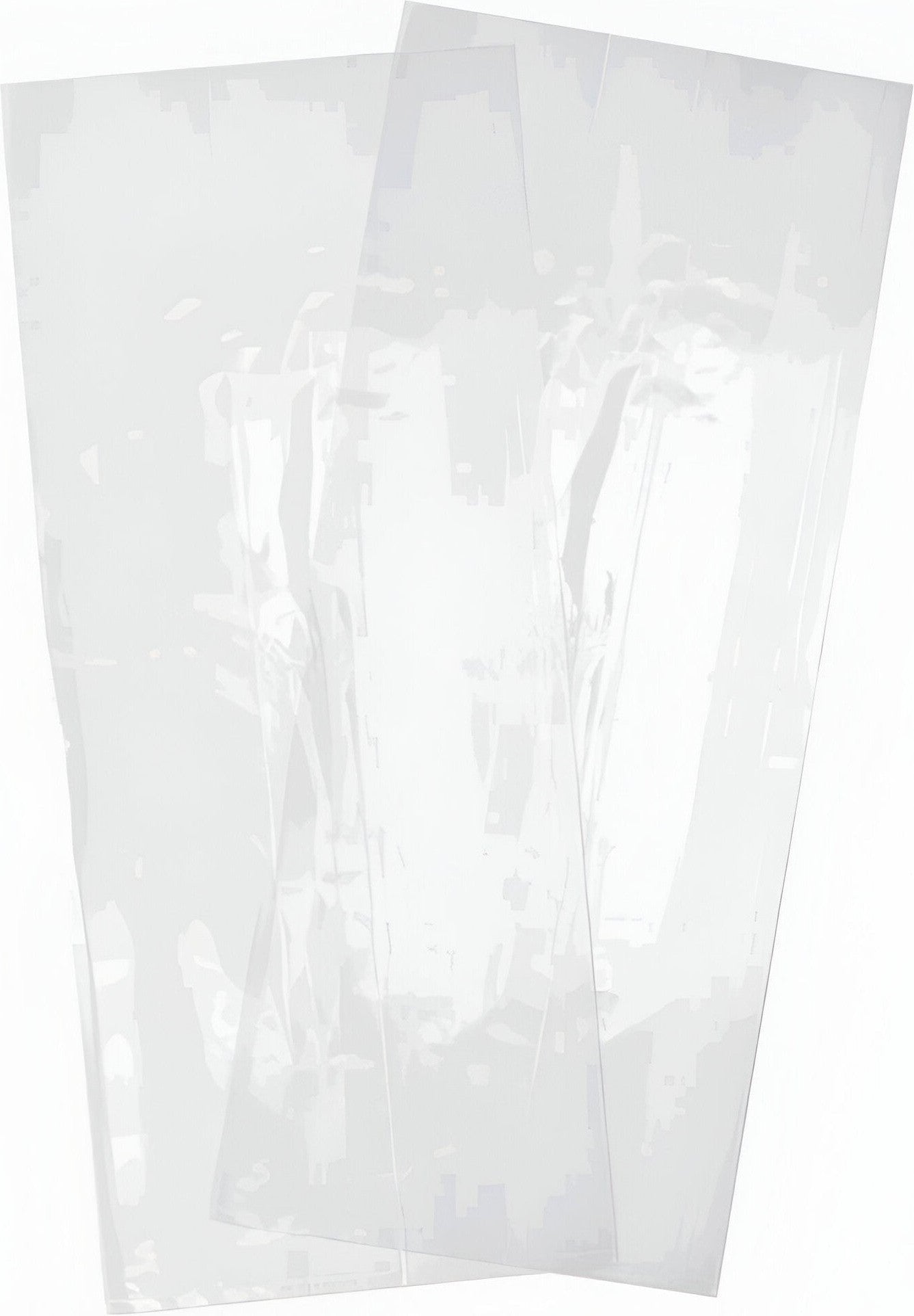 Fantapak - 4" X 2" X 12" Clear Polybag, 1000/Cs - 2F4X2X12SG