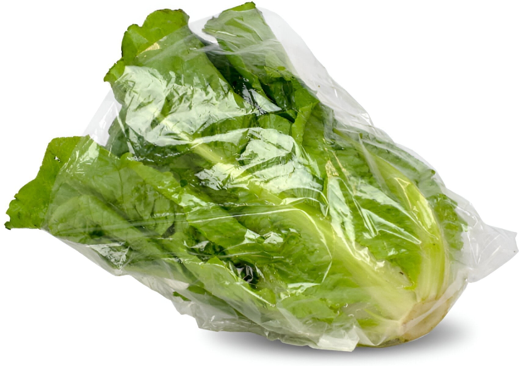 Fantapak - 12" X 12" Large Polypropylene Lettuce Bags with Vent Holes, 1000/Cs - PP-12x12+4-VENT