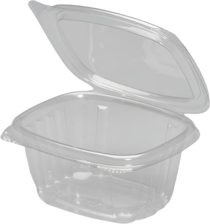 Genpak - 6 Oz Plastic Rectangular Hinged Container, 400/Cs - AD06