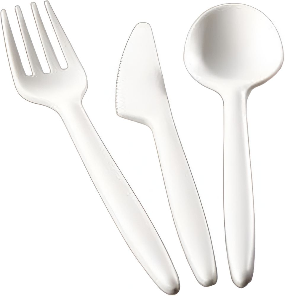 Sabert - White CPLA Natural Compostable Cutlery Spoon, 500/Cs - CNCS500