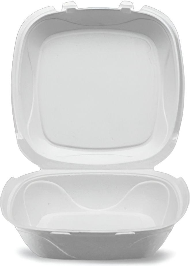 Darnel - 8" Ivory Pulp Bagasse Hinged Container, 200/Cs - DN405102