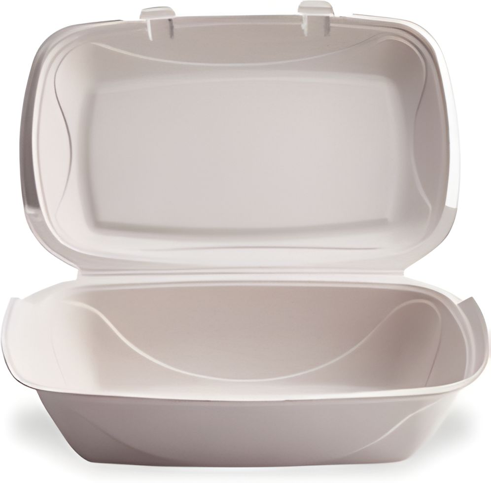 Darnel - Ivory Pulp Bagasse Paper Hinged Container, 150/Cs - DN403102H