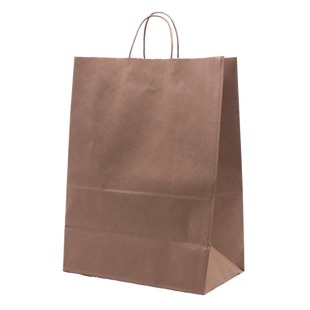 RiteEarth - 13" x 7" x 13" Kraft Paper Twist Handle Bag, 250/Cs , 16Cs/Sk - PT13713K
