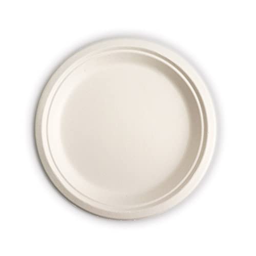 RiteEarth - 6" Bagasse Round Plates, Pack of 125, 1000/cs, 144Cs/Sk - REBP060