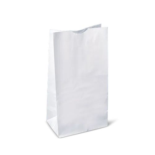 RiteEarth - 1 lb Paper Bag White, 500 Bags/Case - PB010W