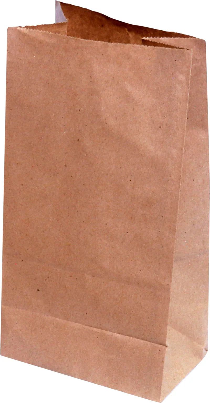 RiteEarth - 6 Lbs Plain Kraft Paper Bag, Pack of 500, 2Bn/Case (1000/Case) - REPB060K