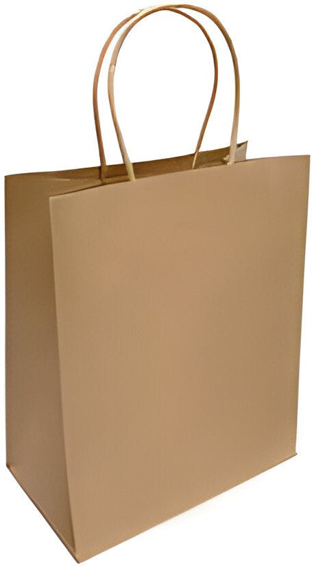 RiteEarth - 7" x 3.5" x 8" Kraft Paper Twist Handle Bag, 250/Cs, 42Cs/Sk - REPT07308K