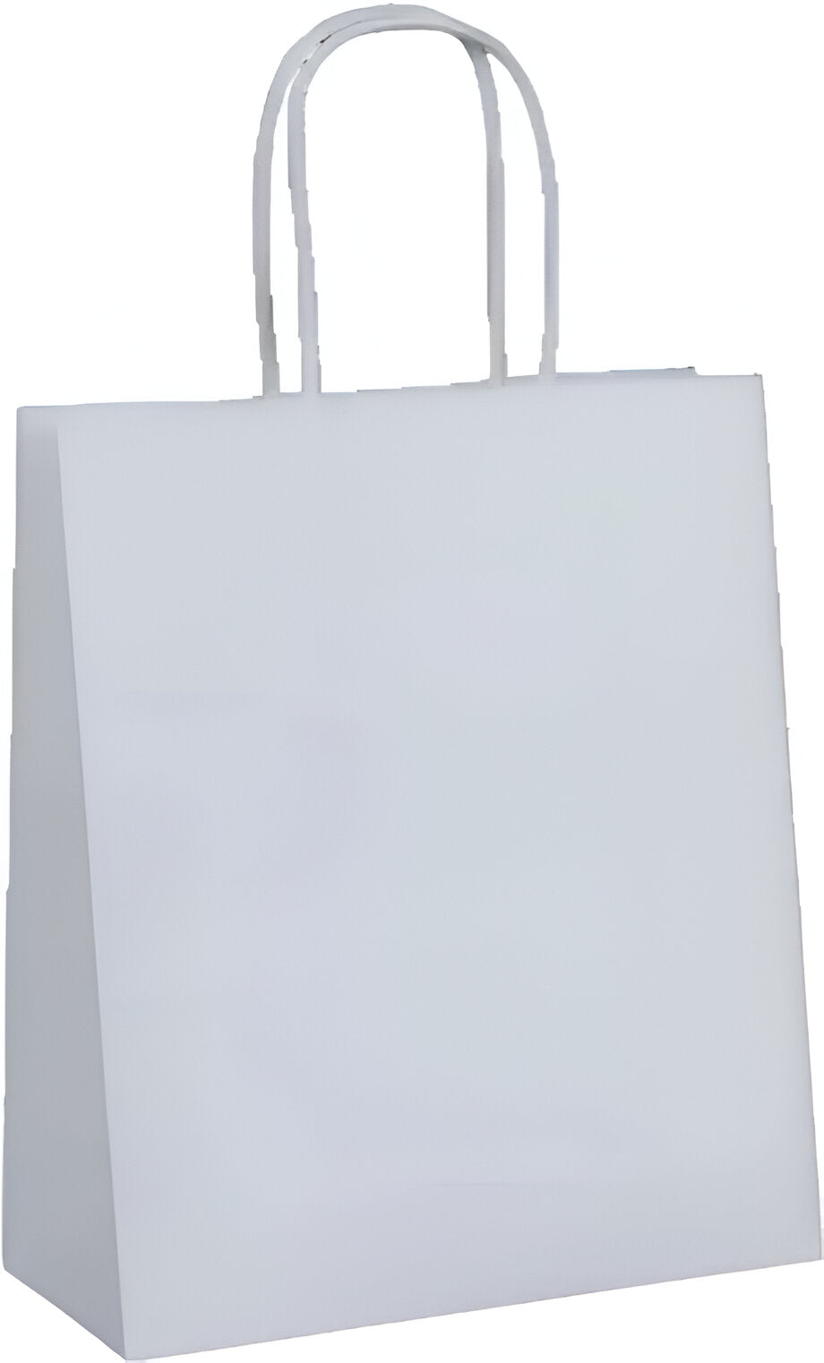 RiteEarth - 7" x 3.5" x 8" White Paper Twist Handle Bag, 250/Cs, 42Cs/Sk - REPT07308W