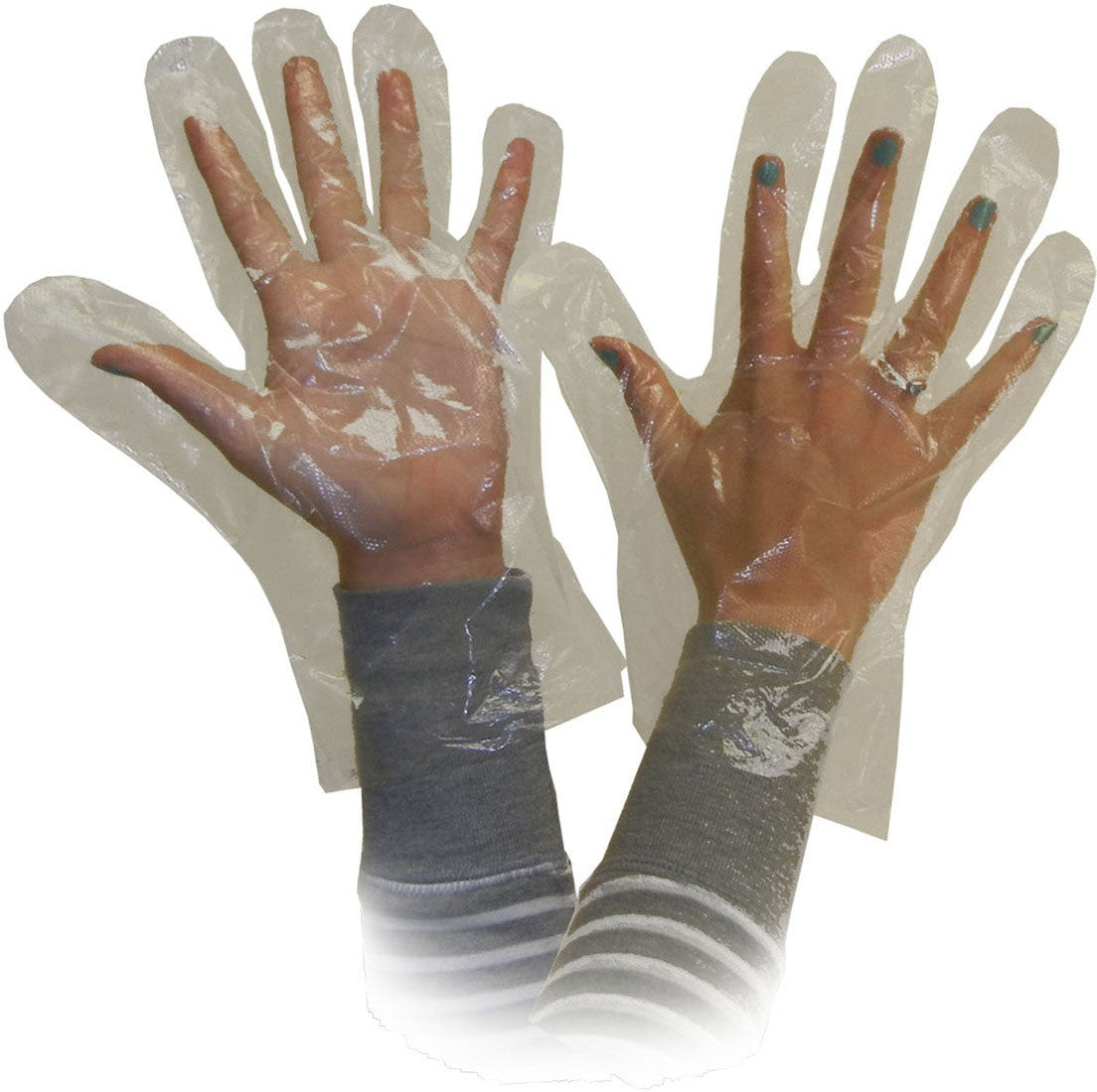 RONCO - Large Polyethylene Powder-Free Deli Gloves, 500/bx - 143