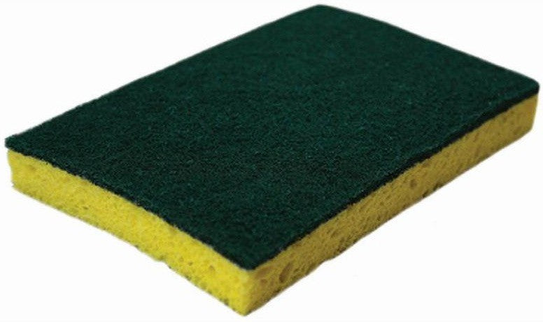 TiSA - Cellulose Sponge with Scouring Pad, 50/cs - TS35117