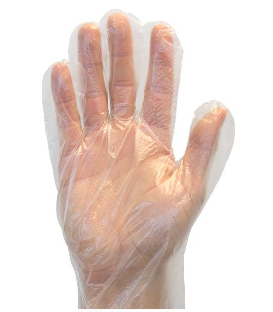 Ralston CanSafe - Medium Disposable Poly Deli Gloves, 500/bx, 20bx/cs, 24cs/skid - TSZGDPEMD5